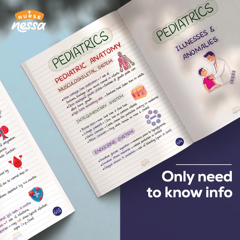My Ultimate Nursing Notes Bundle